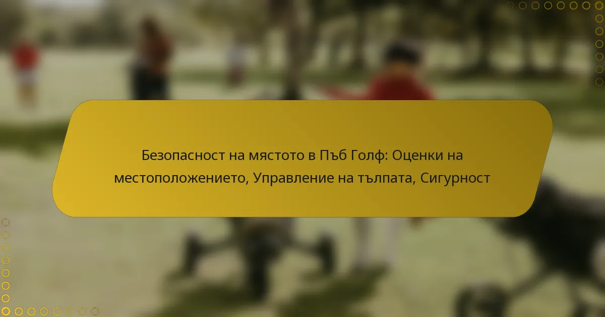 Безопасност на мястото в Пъб Голф: Оценки на местоположението, Управление на тълпата, Сигурност