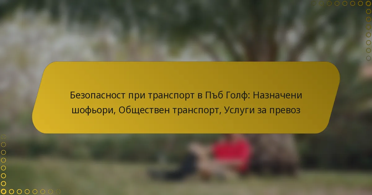 Безопасност при транспорт в Пъб Голф: Назначени шофьори, Обществен транспорт, Услуги за превоз