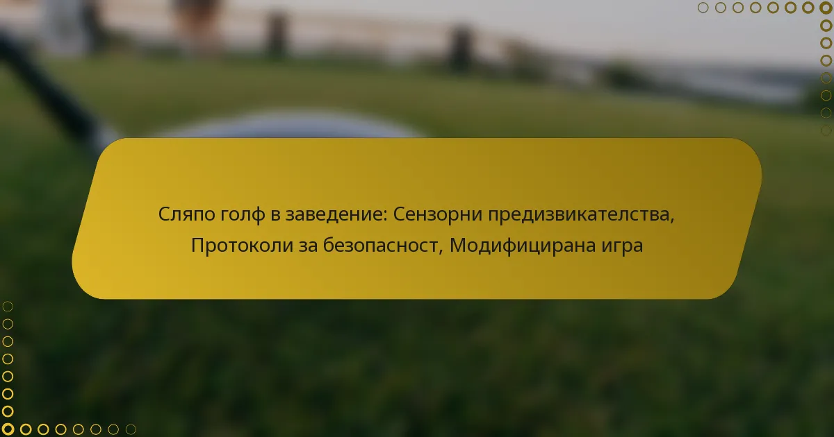 Сляпо голф в заведение: Сензорни предизвикателства, Протоколи за безопасност, Модифицирана игра